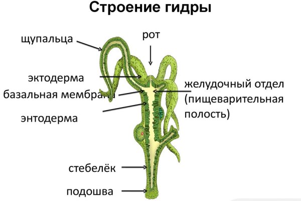 Площадка кракен kraken clear com