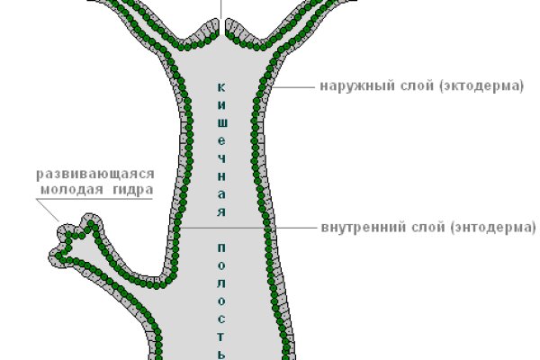 Кракен ссылки онлайн