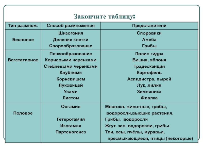 Кракен это что за сайт